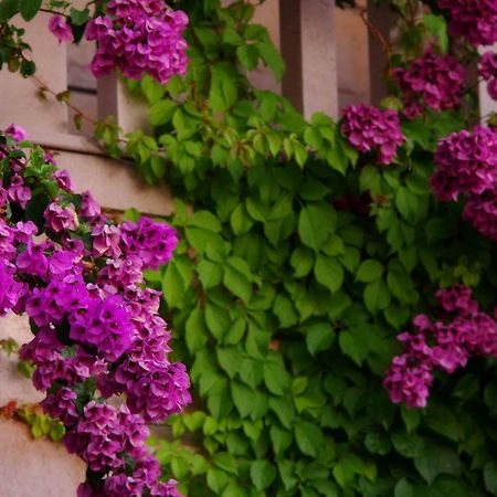 Large And Charming Apartment Near Beach With Big & Sunny Terrace Sumartin Bagian luar foto